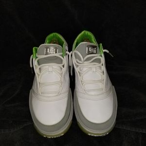 Nike Zoom LeBron Low ST